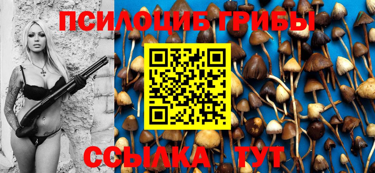 Псилоцибиновые грибы мухоморы  как найти закладки  Нарткала  Галлюциногенные грибы Psilocybe  Вход с VPN 